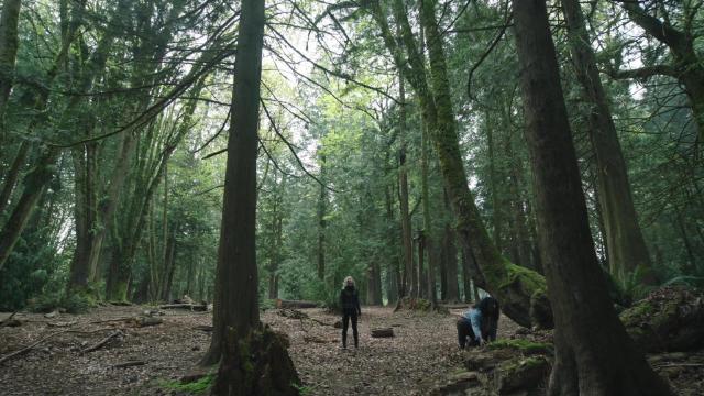 It's Cow or Never - 8 серия, 1 сезона, сериала Миротворец (2022)