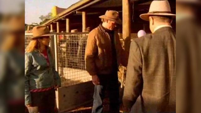 No More Mr Nice Guy - 21 серия, 2 сезона, сериала Дочери Маклеода (2001)