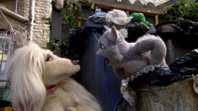 Destiny the Reluctant Sniffer Dog - 2 серия, 1 сезона, сериала Дворняги (2010)