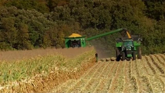 Сериал Интересно обо всем (2008) 1 сезон