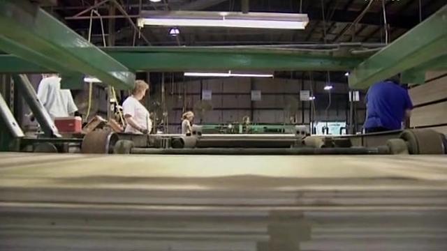 Timber - 3 серия, 1 сезона, сериала Интересно обо всем (2008)