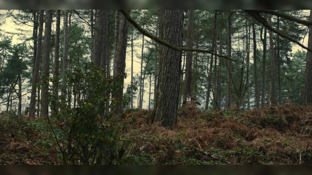 3 серия, 1 сезона, сериала Единожды солгав (2024)