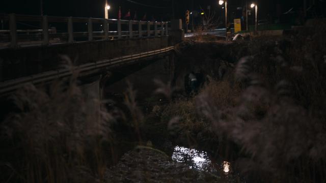 Episode 5 - 5 серия, 1 сезона, сериала Паразит: Серый (2024)