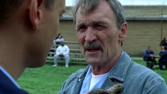 Старый конь - 8 серия, 1 сезона, сериала Побег (2005)