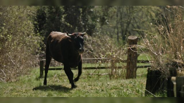 The Space Between - 2 серия, 1 сезона, сериала Земля без людей (2024)