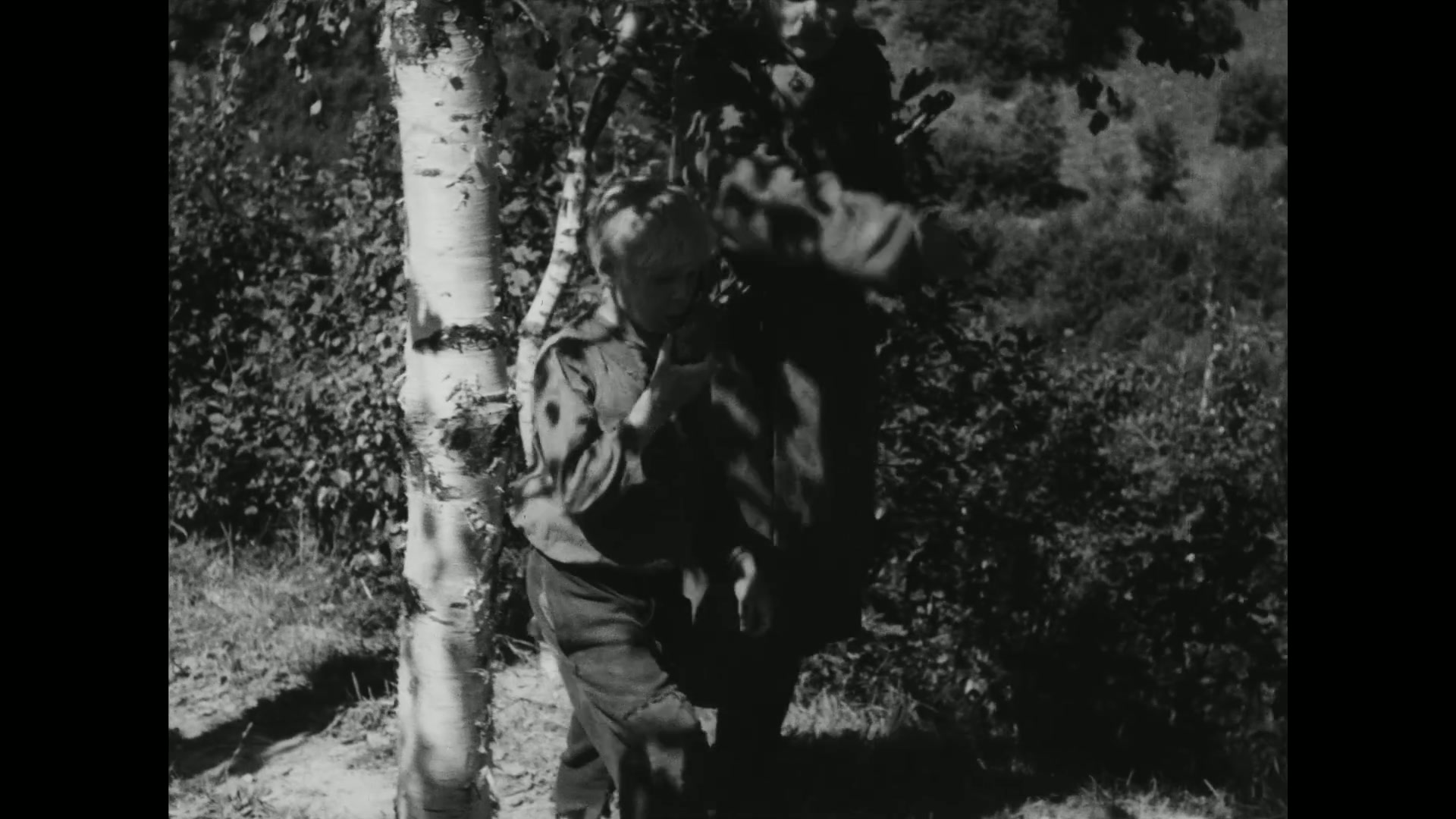  Сын полка (1946)