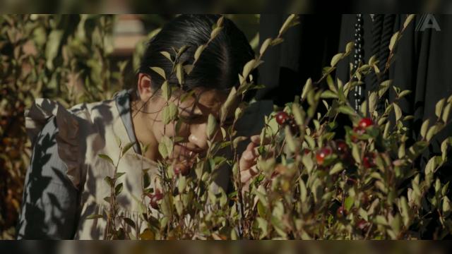 War and the Turquoise Tide - 4 серия, 1 сезона, сериала 1923 (2022)